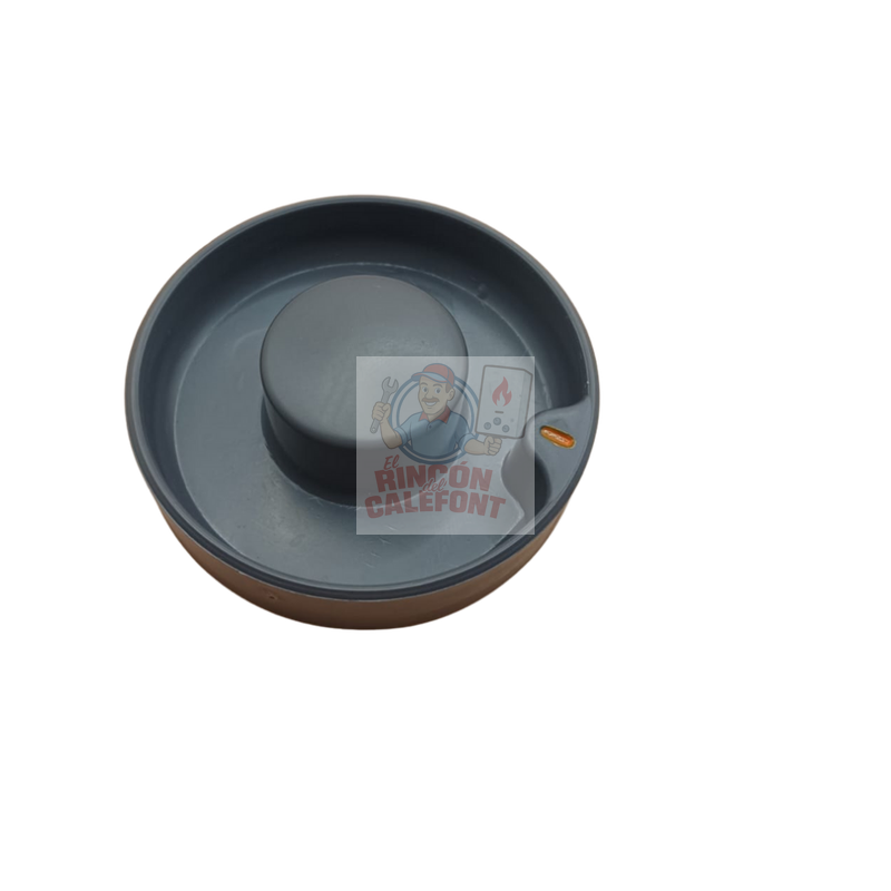 Perilla Splendid Antiguo S16000